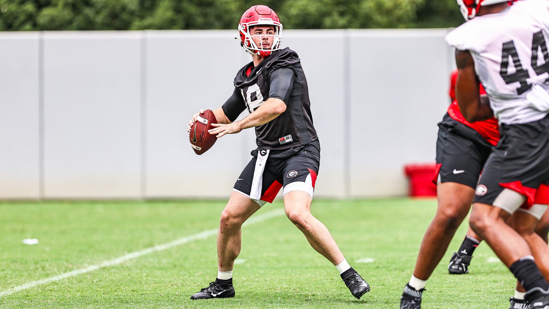 Georgia Bulldogs
