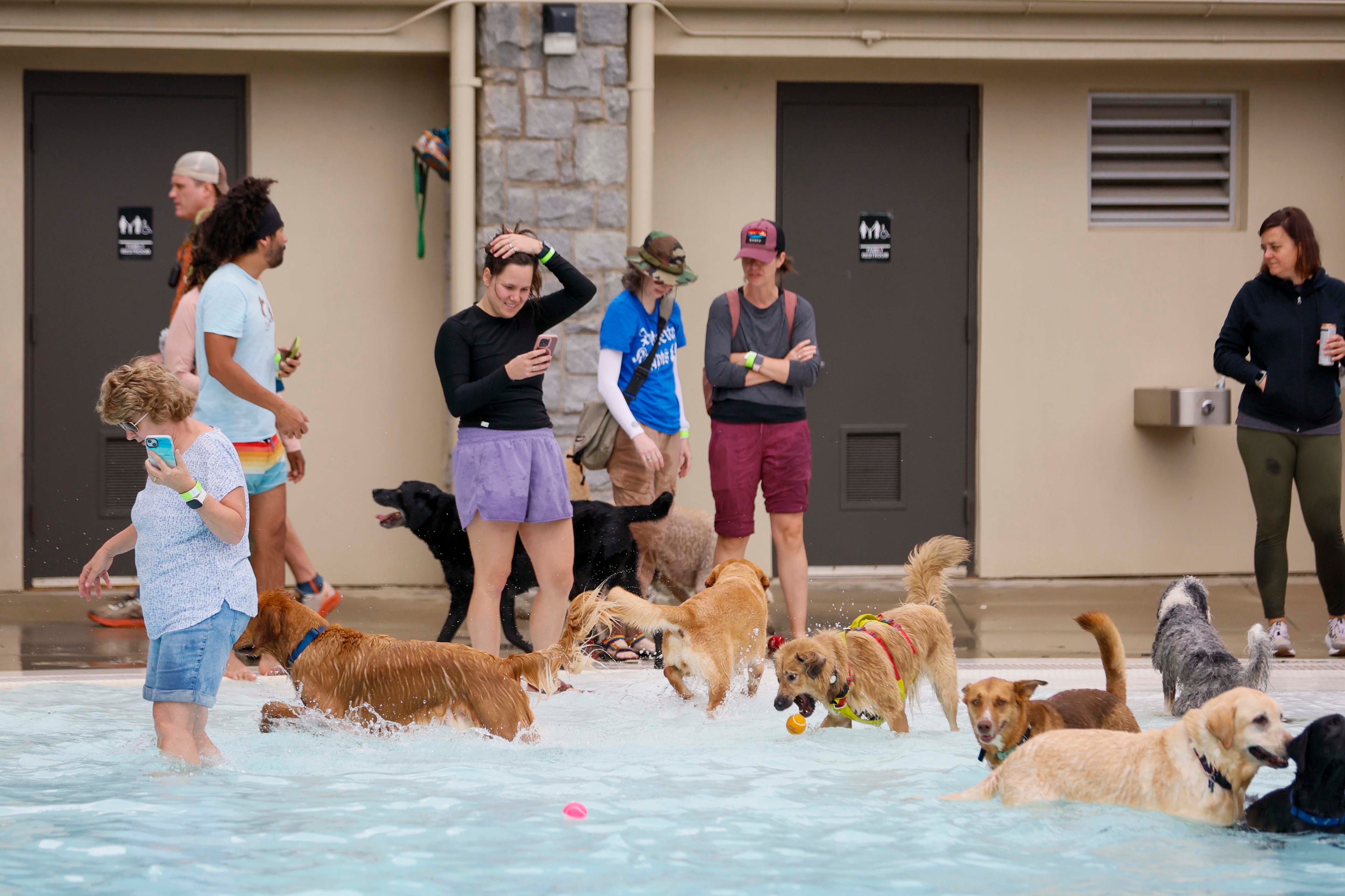 Dog owners are seen playing with their pets in the water during the XV annual Splish Splash Doggie Bash at Piedmont Park on Sunday, October 5, 2025. The proceeds support Piedmont Park Dog Parks.
(Miguel Martinez/ AJC)