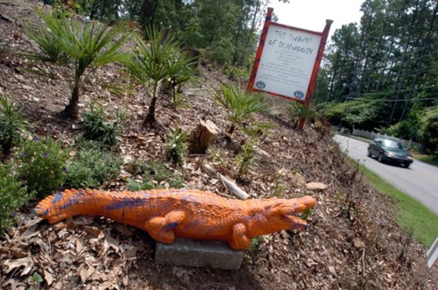 Swamp of Dunwoody' going on sale