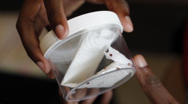 Bed Bug Central public relations associate Calvin Allen shows a vial containing live bed bugs at the Bed Bug University North American Summit 2010 on September 22, 2010 in Rosemont, Illinois.