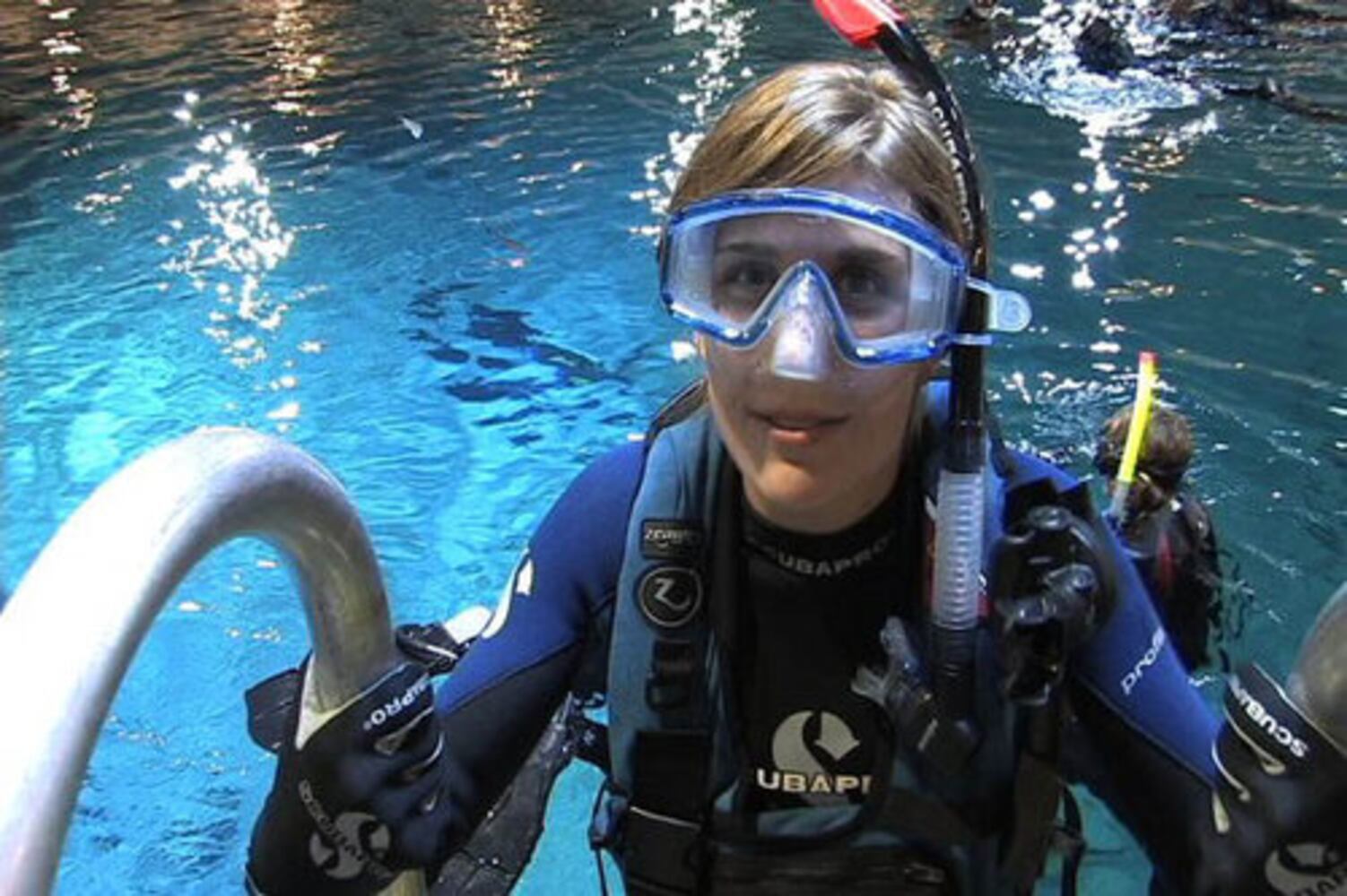 Swimming with the whale sharks
