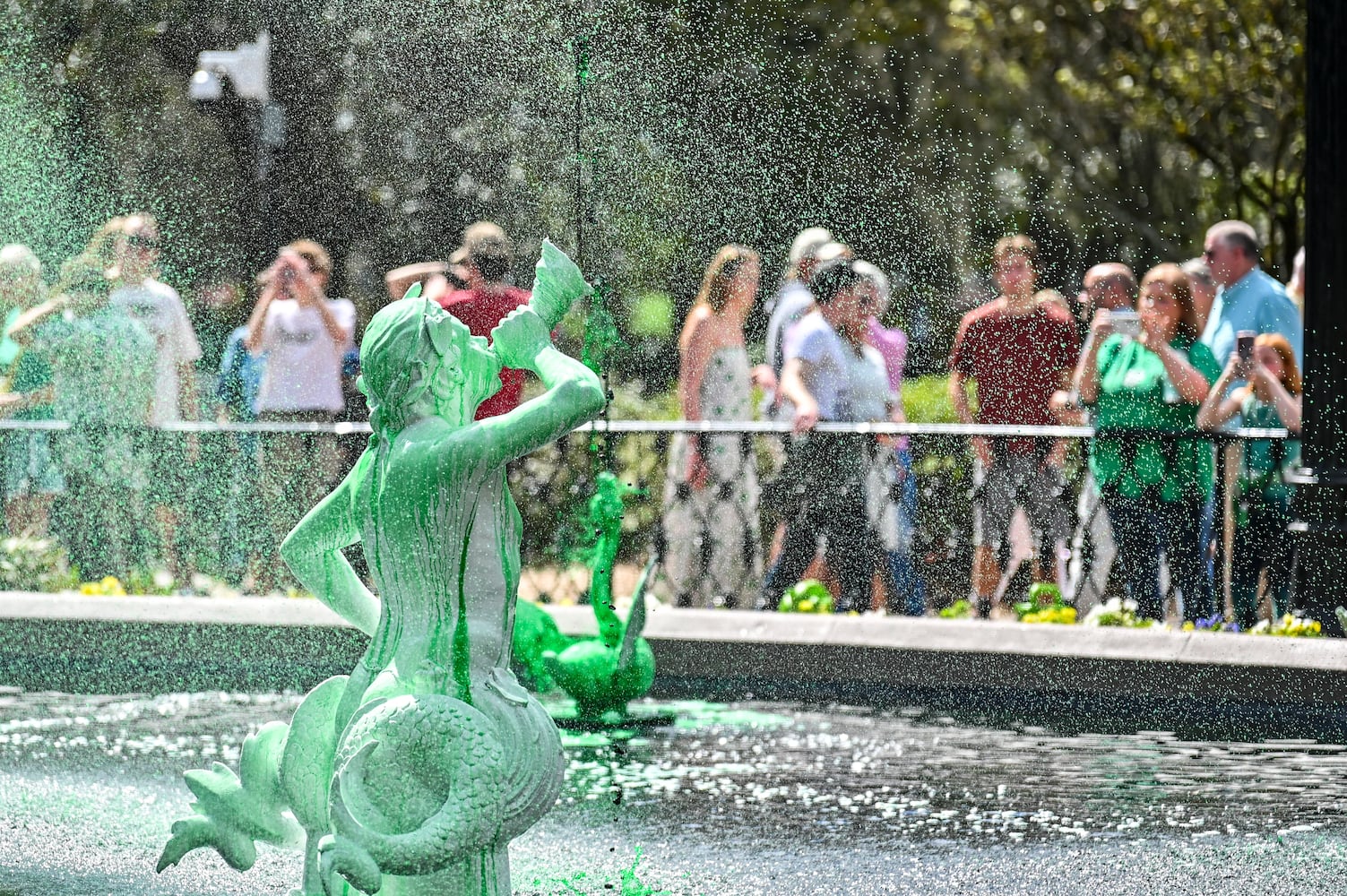 Greening of Forsyth Park Fountain