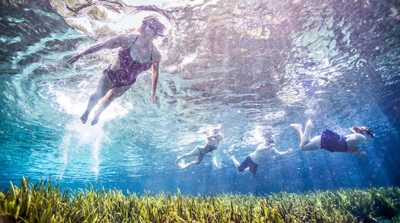 Alexander Springs Recreation Area, Altoona, FL in Lake County.