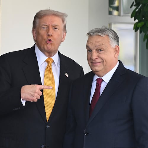 FILE - President Donald Trump, left, greets Hungary's Prime Minister Viktor Orban at the White House, Friday, Nov. 7, 2025, in Washington. (AP Photo/John McDonnell,File)