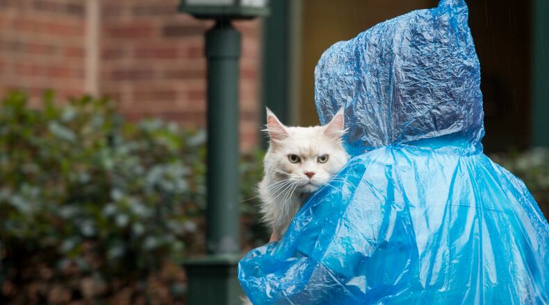 Laura Abbott, a radiation oncology technician at Blue Pearl Specialty and Emergency Hospital, brings her patient Falcon, a Maine Coon, for treatment Tuesday, March 31, 2020. The emergency animal hospital in Sandy Springs is continuing to operate with curb-side, drive-up service for checking in pets and technician pick ups and drop offs into owner's cars. (Jenni Girtman for The Atlanta Journal-Constitution)