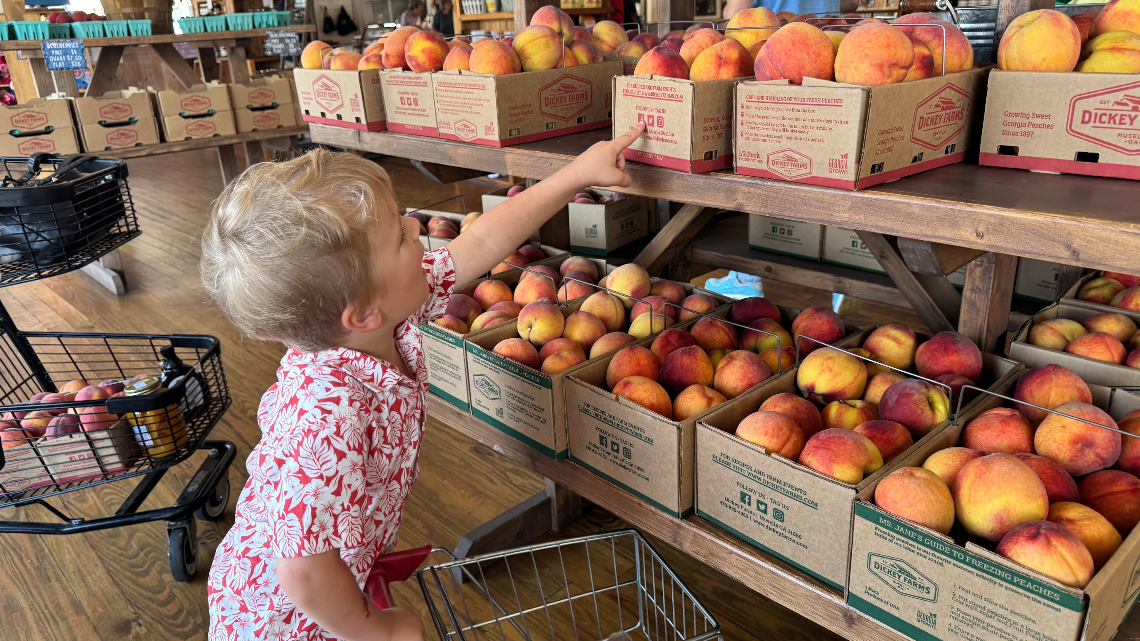 Rusty Mislan-Morgan, 4, checks out the peaches at Dickey Farms packinghouse in Middle Georgia on Sunday, June 22, 2025. (Joe Kovac Jr./ AJC)