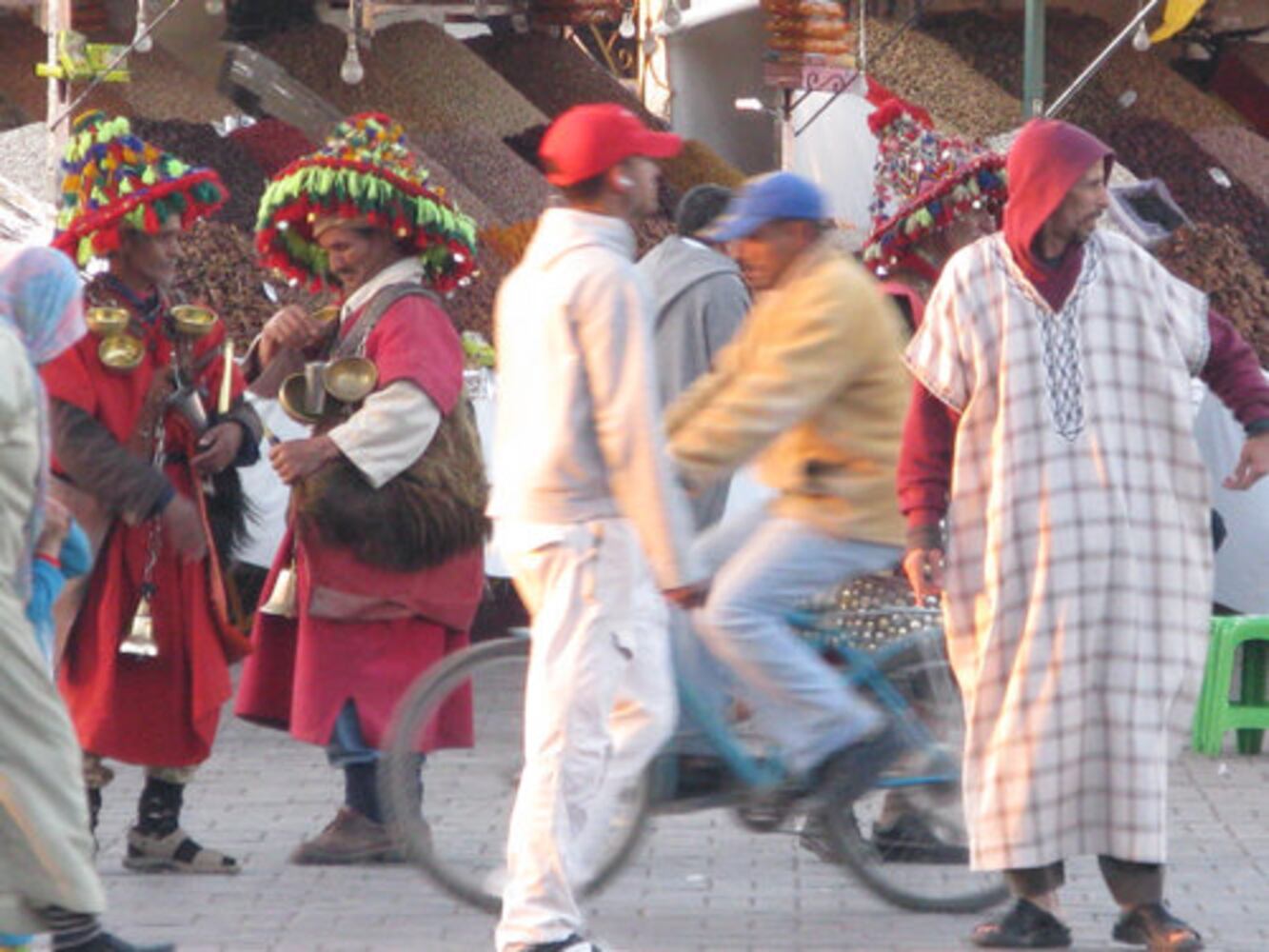 Traveling Morocco, by camel and mule
