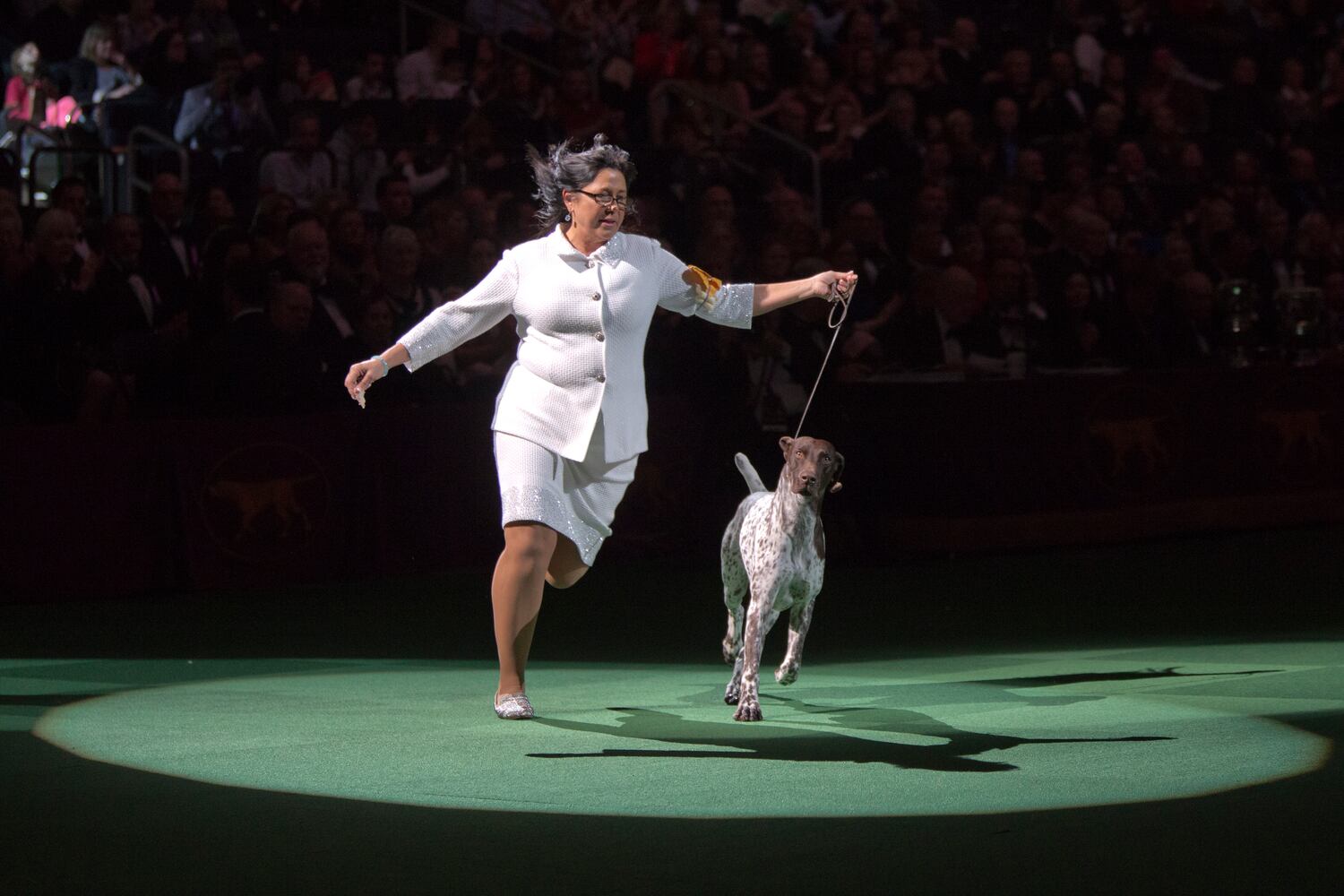 140th Westminster Kennel Club Dog Show
