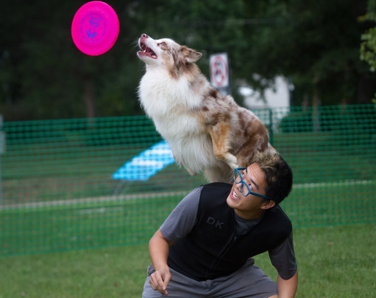 Photos: Woofstock brings pet party in Cobb