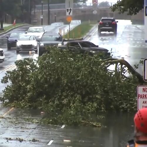 This image taken from video shows a broken tree branch on a street, Sunday, July 12, 2026 after a line of severe, short thunderstorms passed through the city the day before in Philadelphia. (WPVI-TV/6ABC via AP)