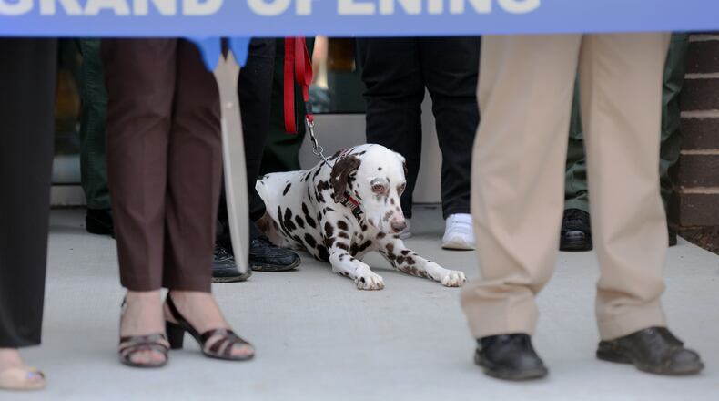 DeKalb County Fire Rescue mascot Cheddar the dalmation, awaits the end of ceremonies as DeKalb County officials, animal advocates and members of the public attend the opening of the county's new $12 million DeKalb animal shelter in this July 2017 file photo.