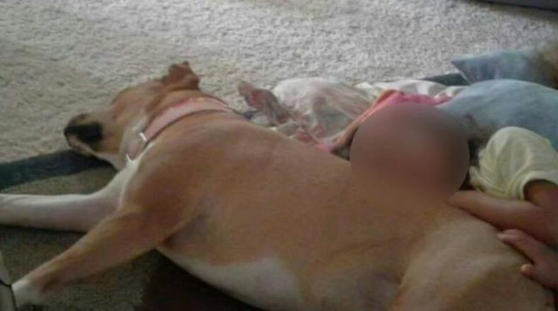 A judge recently ruled that Ricki, a Lab mix, was illegally put down at a Georgia animal shelter.