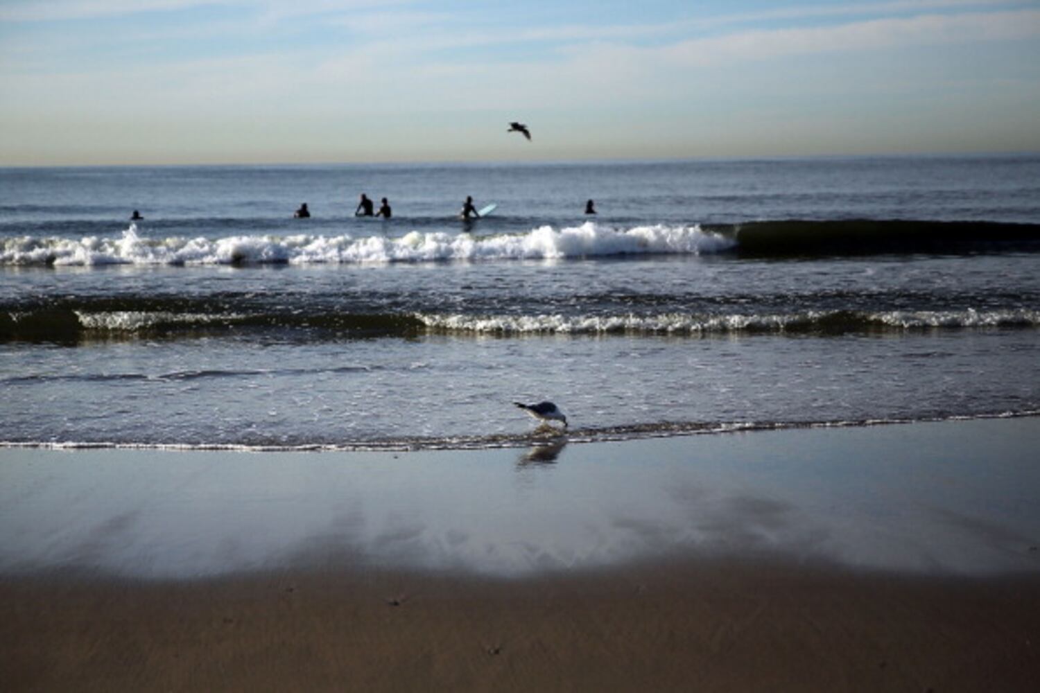 NYC surfers