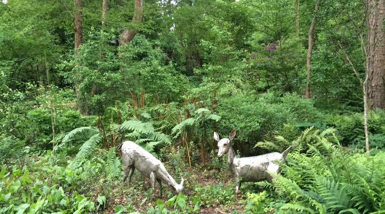 The Mary Howard Gilbert Memorial Quarry Garden at the Atlanta History Center shelters one of the state s most comprehensive collections of plants native to pre-settlement Georgia, many of which are rare and/or endangered. Photos: Jennifer Brett, jbrett@ajc.com