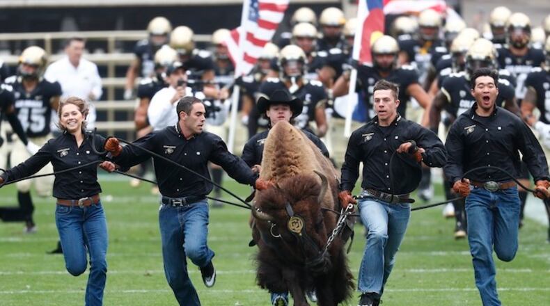 Hold For Overnight Release For Friday, Oct. 27--In this Saturday, Sept. 16, 2017, photograph, handlers guide the University of Colorado mascot, Ralphie, on to the gridiron to open the first half of an NCAA college football game against Northern Colorado in Boulder, Colo. (AP Photo/David Zalubowski)