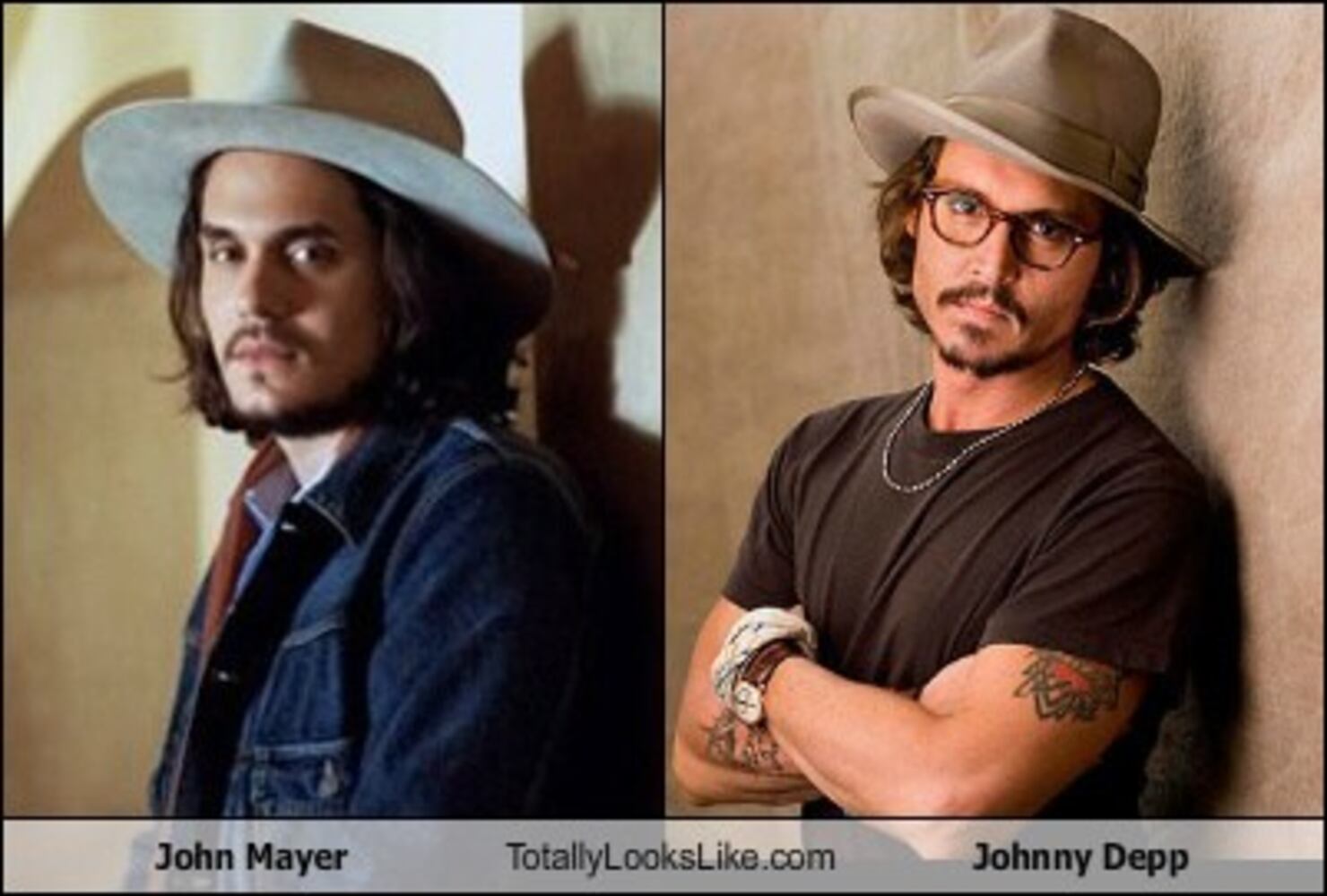 TotallyLooksLike.com