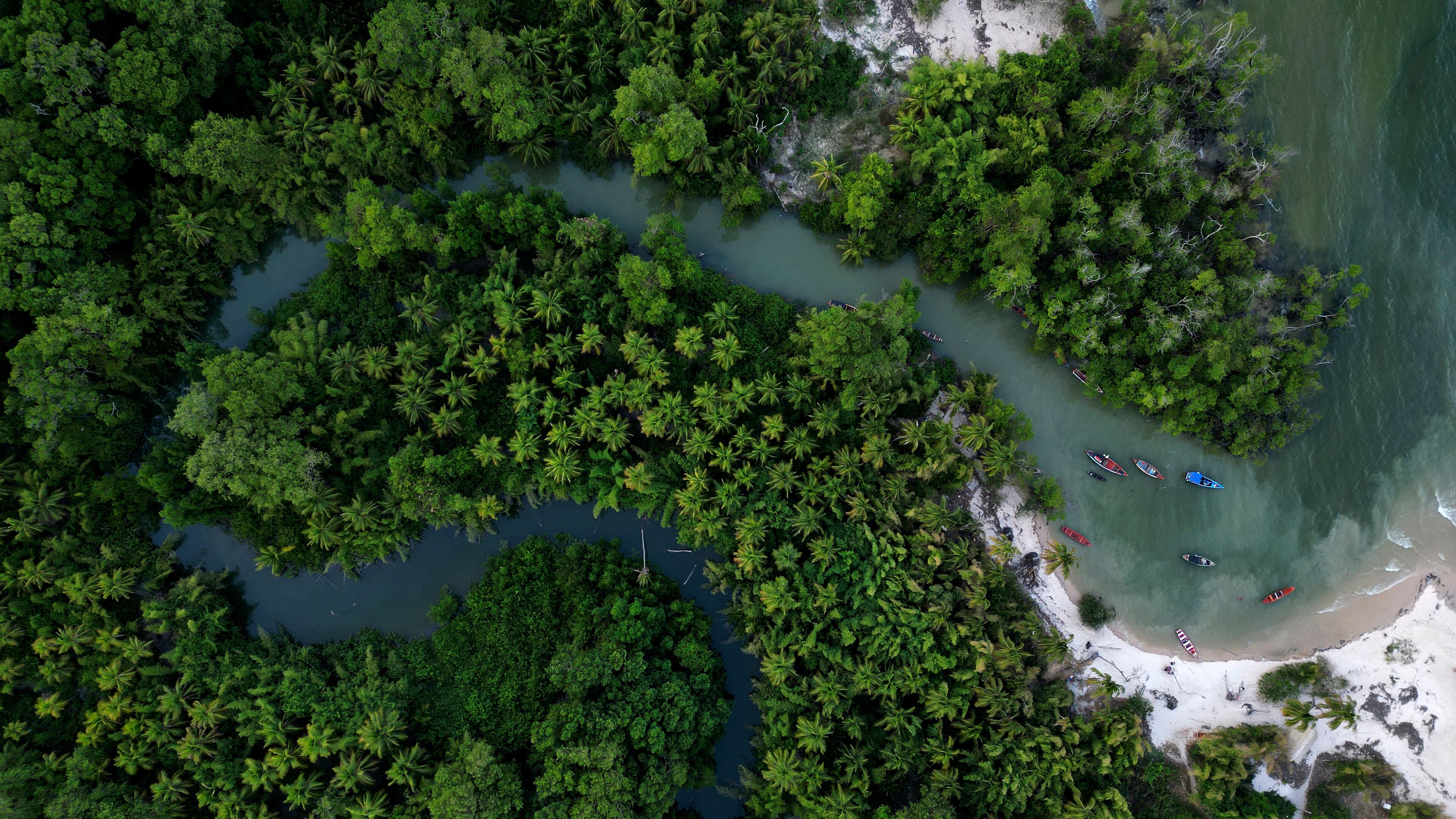 Fishing boats are visible in the port of the Caju Una community, Marajo Island, Para state, Brazil, Saturday, Nov. 1, 2025. (AP Photo/Eraldo Peres)