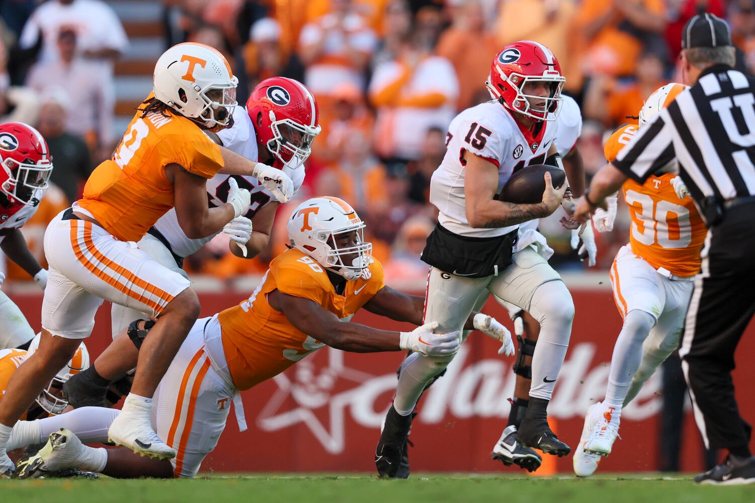 111923 bulldogs photo