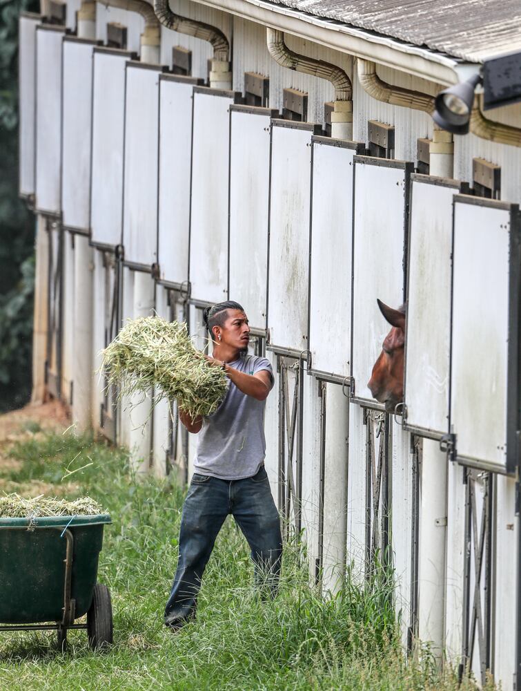 Juan Carlos Pantaleon serves up another bundle of hay at the horse barn at Chastain Horse Park on Powers Ferry Road NW in Atlanta on Monday, July 17, 2023. Temperatures were unseasonably hot this week in metro Atlanta, with heat indices exceeding 100 degrees by the middle of the week. (John Spink / John.Spink@ajc.com)


