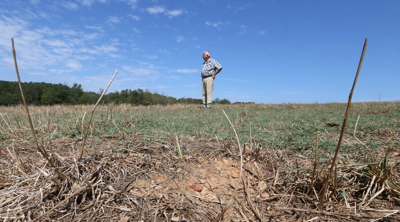 A drought damaged field in Gordon County. BOB ANDRES /BANDRES@AJC.COM