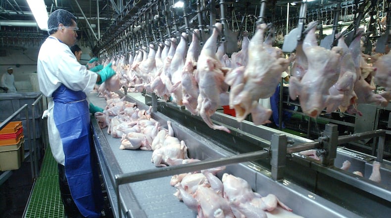 Chickens travel down a conveyer belt from the chiller and are placed on hooks that weigh them and sort them by weight at the Mar-Jac Poultry processing plant in Gainesville in 2023. (Kimberly Smith/staff)