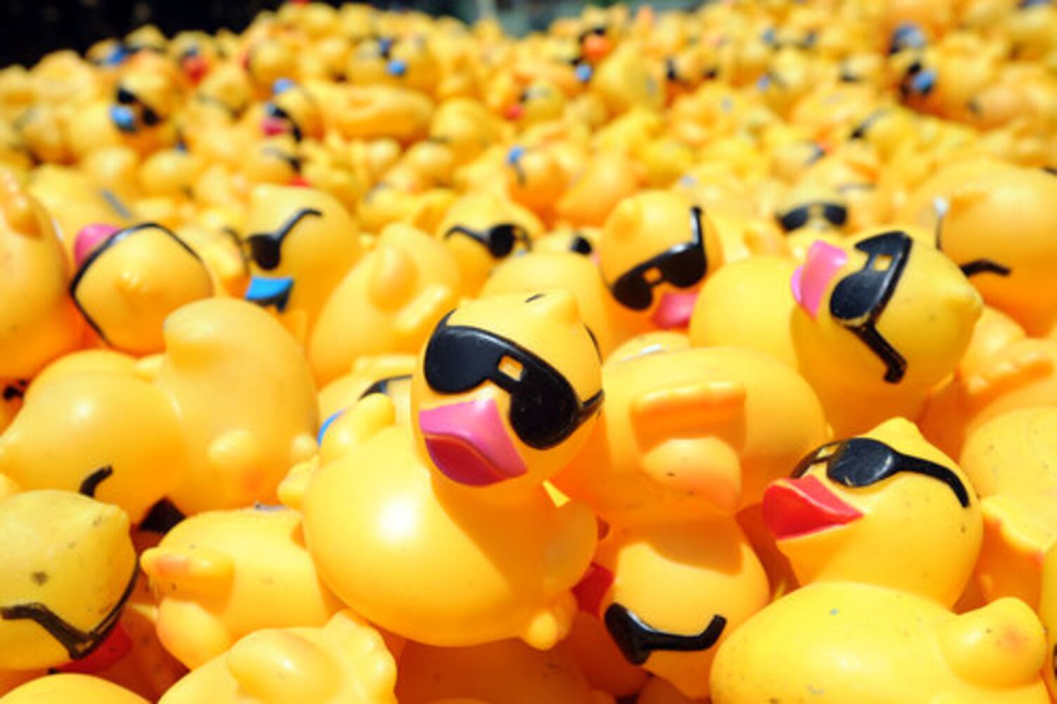 Rubber duck derby benefits Special Olympics
