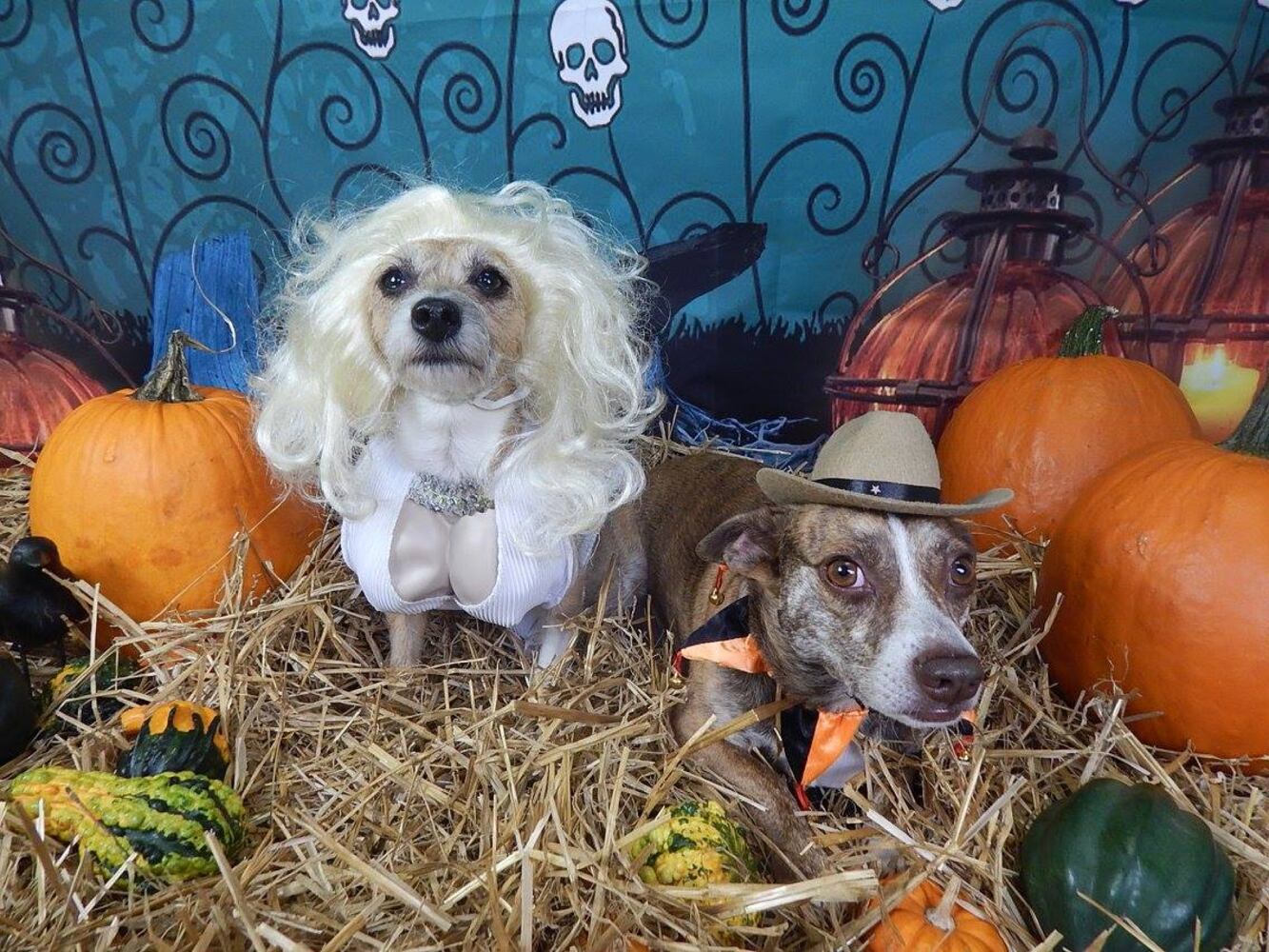 Ginger and Bennie