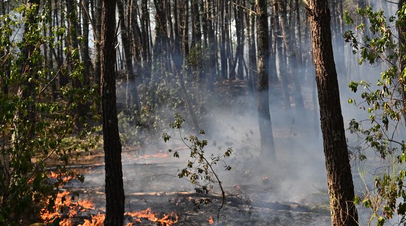 A fire burns in a forest near Claouey, during wildfires in southwestern France, Wednesday, July 29, 2026. (AP Photo/Emma Da Silva)