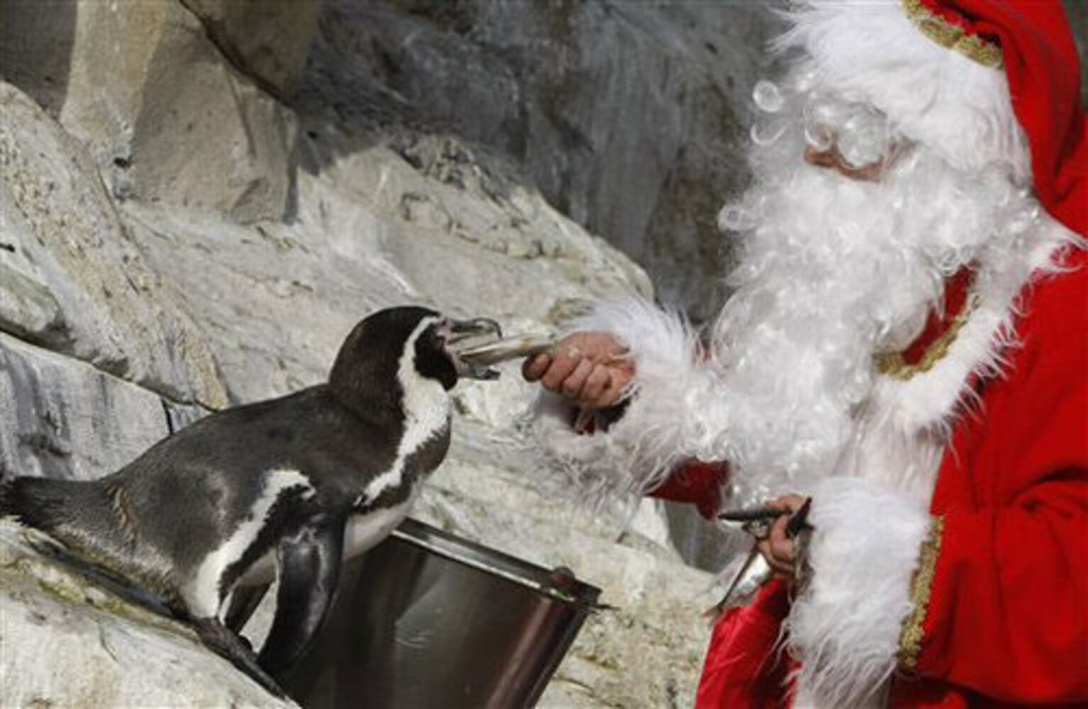 France gets in the Christmas spirit