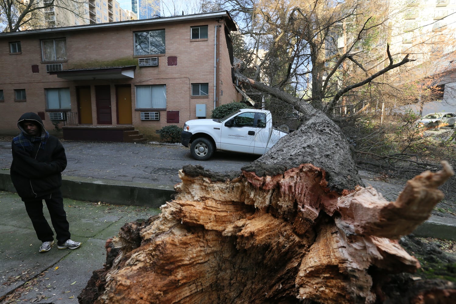Tree falls on 13th Street west of Piedmont