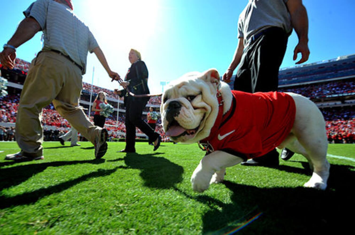 Uga VIII's official debut