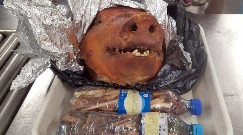 U.S. Customs and Border Protection K9 "Hardy" detected this roasted pig head in checked luggage at Hartsfield-Jackson.