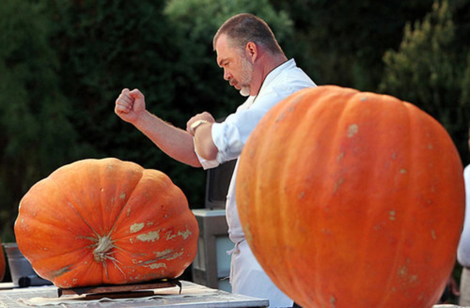 Celebrity chefs go for pumpkin carving win