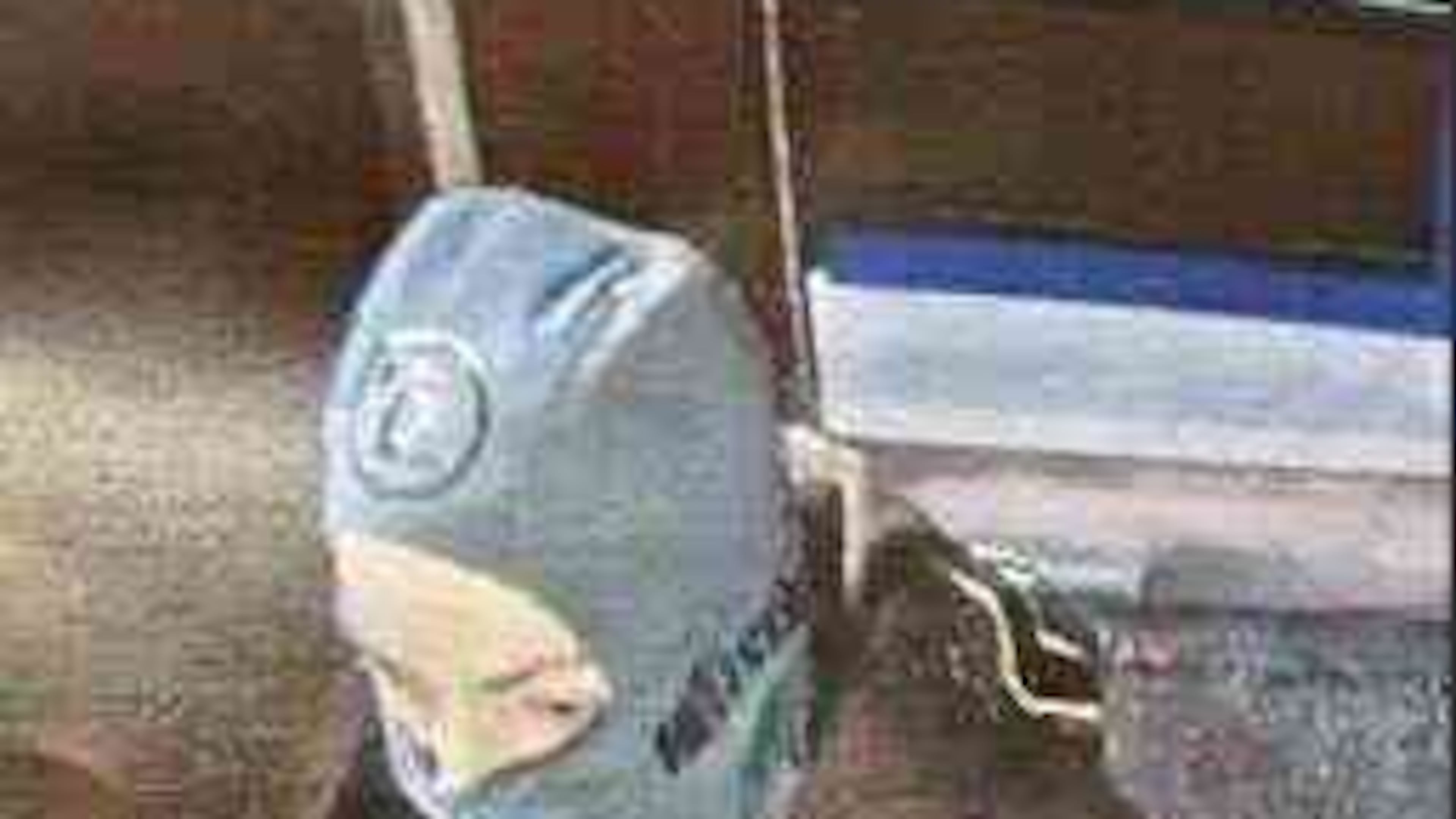 This photo provided by the Harvard University Police Department shows a person of interest in an explosion at the Harvard Medical School in Boston, on Saturday, Nov. 1, 2025. (Harvard University Police Department via AP)