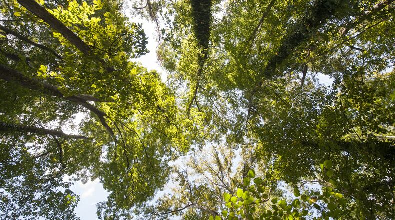 FILE PHOTO: Wylene Tritt is trying to sell her land to Cobb County as a historic park. (DAVID BARNES / DAVID.BARNES@AJC.COM)