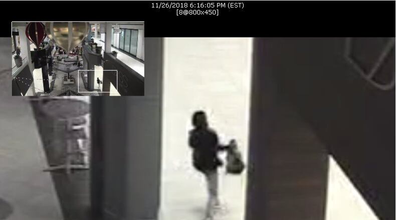 Dunwoody police are searching for a man accused of snatching purses at Perimeter Mall.