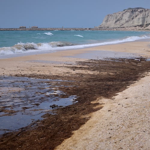 Dark oil residue covers parts of the shoreline at Shib Deraz Beach on Qeshm Island, Iran, Thursday, Aug. 13, 2026, amid ongoing wartime attacks on vessels and infrastructure in and around the Strait of Hormuz, though the spill’s source has not been independently determined. (Amirhosein Khorgooei/ISNA)