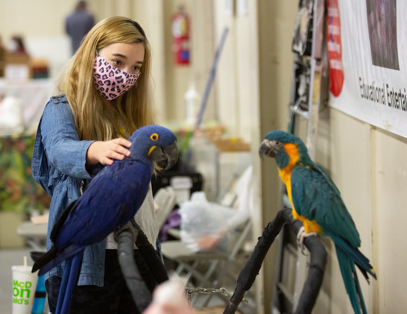 Southeast Exotic Bird Fair