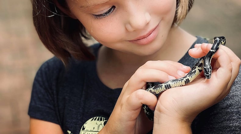 Eden Ballard, 8, of Decatur holds an Eastern kingsnake that she and her sister, Ella, 10, had just rescued from a neighborhood street. They released it to a safer spot and reported it to the Urban Kings project. (Courtesy of Daniel Ballard)