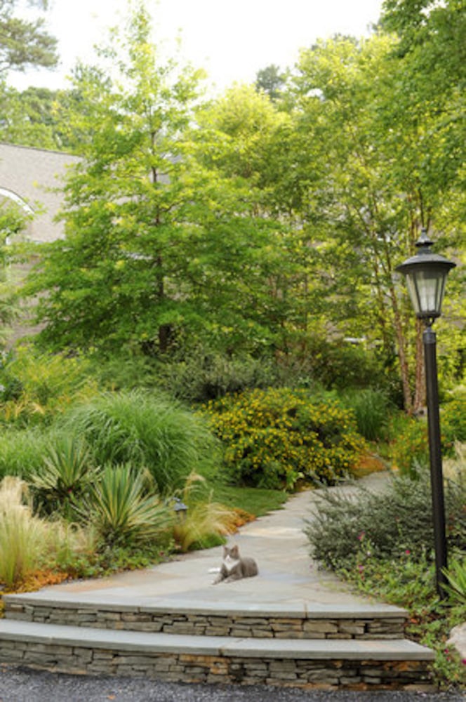 A wooded Druid Hills garden planted with TLC