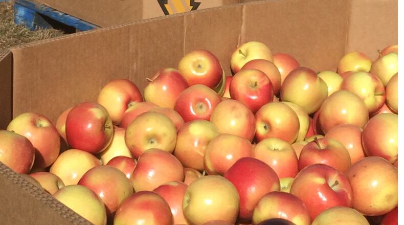 The 49th annual Georgia Apple Festival Arts & Crafts Show has been canceled amid the coronavirus. (Ligaya Figueras, The Atlanta Journal-Constitution)