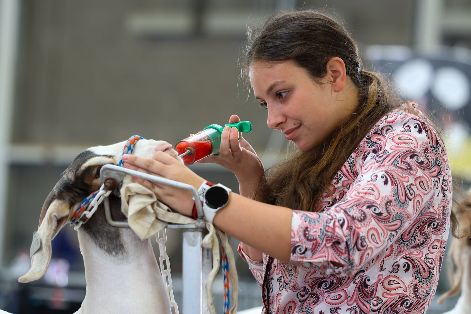 UGA National Fair