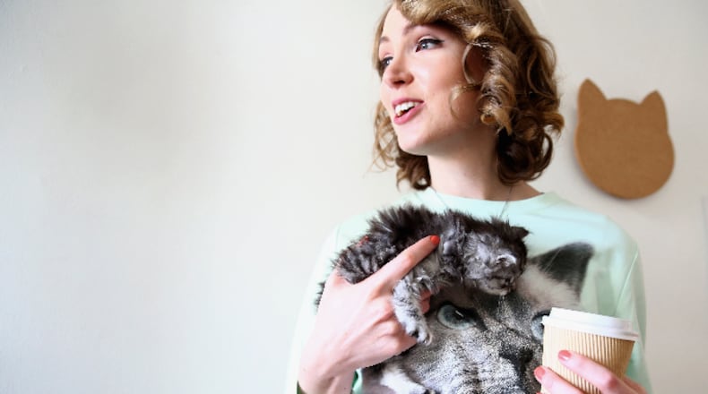 Patrons play with kittens at Australia's pop up cafe.