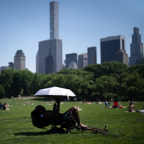 A person uses an umbrella to shield themselves from the sun during a heat advisory in Central Park, Tuesday, May 19, 2026, in New York. (AP Photo/Adam Gray)