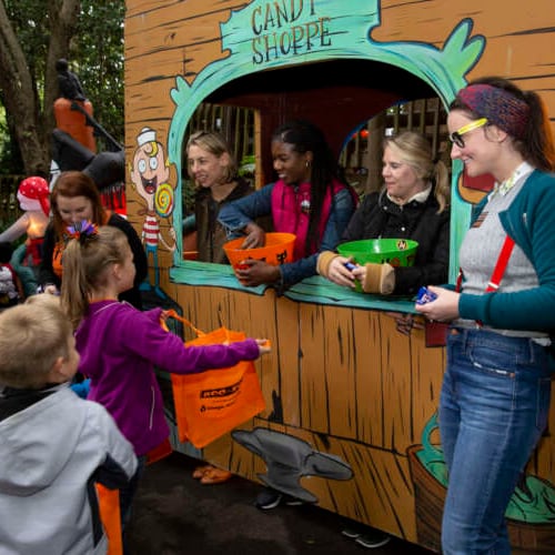 Collect candy, play carnival games for prizes and do more not-so-scary stuff at Boo at the Zoo at Zoo Atlanta on Saturday and Sunday. (Courtesy of Zoo Atlanta)