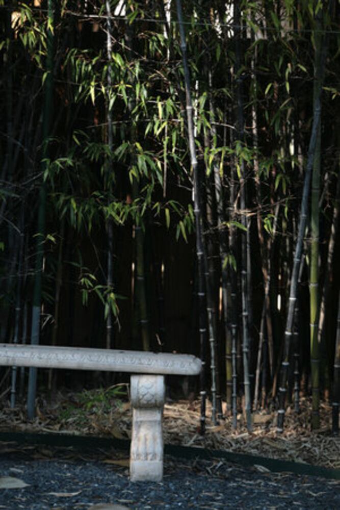 Amazing Space: Zen and the art of landscaping