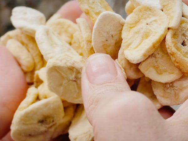 Two hands hold a handful of round freeze-dried banana slices.