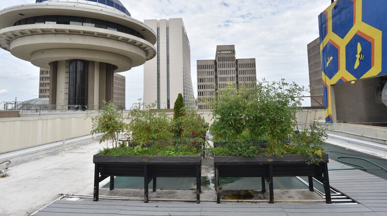 A man fell to his death Monday at the Hyatt Regency Atlanta, shown in a July photo.