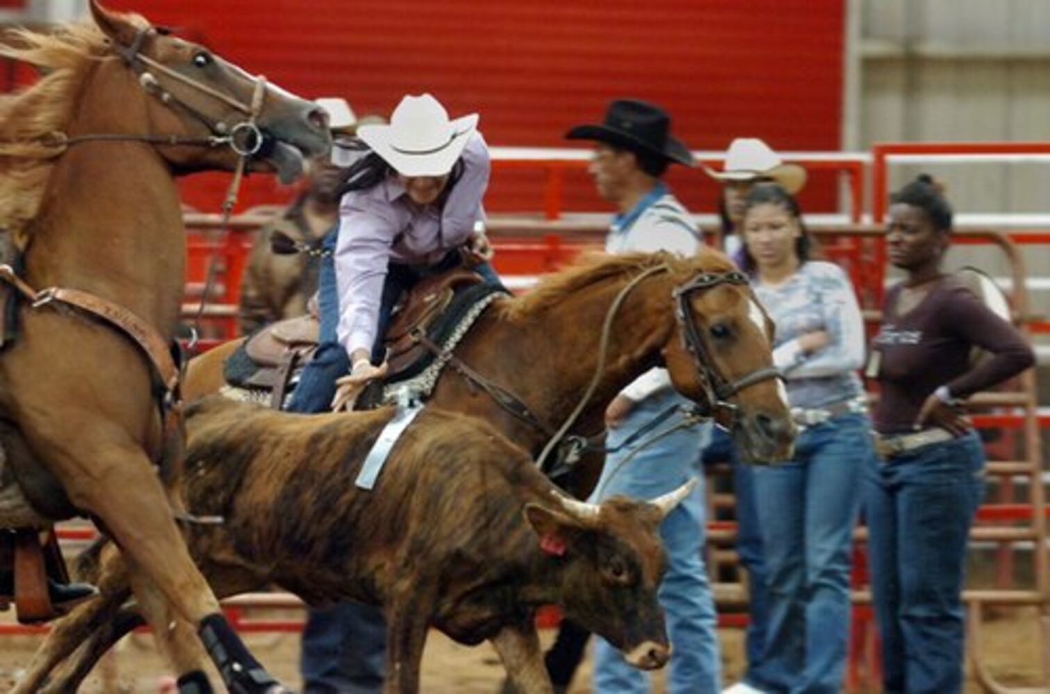 Bill Pickett Rodeo Series