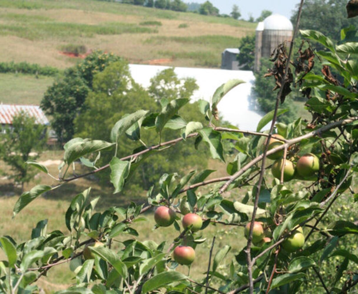 Southeast Tennessee food tour a real mouthful